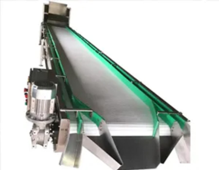 Peanuts Inspection Conveyor in India