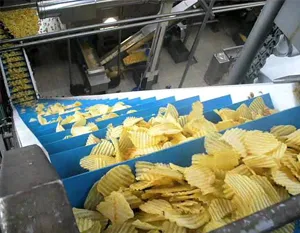 snack food industry conveyor