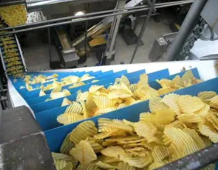 Snack Food Industry Conveyor in India