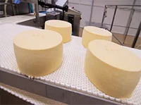 food conveyor belt for Dairy and Cheese