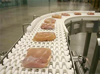 food conveyor belt for Food Handling and Processing