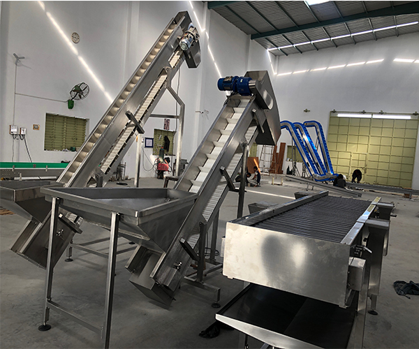 Conveyor for Potato Chips Plant